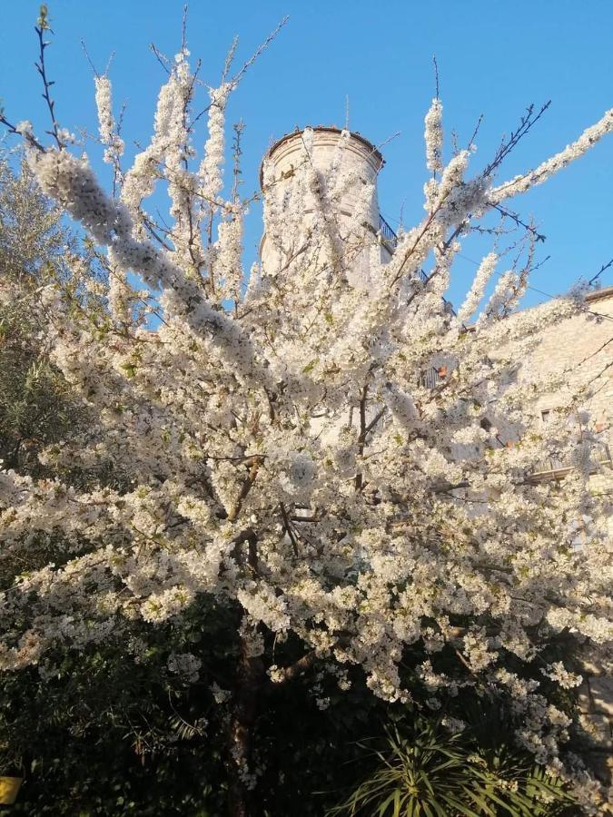 B&B Vicidomini San Marco dei Cavoti Buitenkant foto